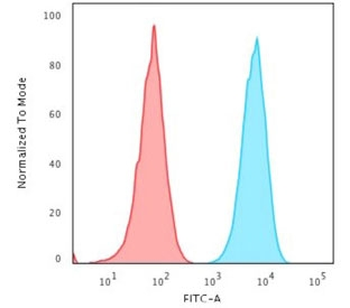 Pan-HLA Antibody (DP/DQ/DR)