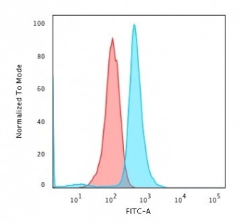 CD79a Antibody