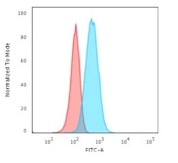GFAP Antibody