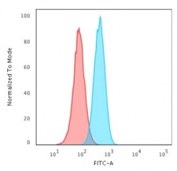 PCNA Antibody