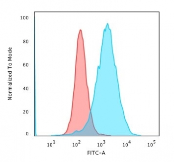 Transferrin Receptor Antibody / CD71
