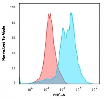 ZAP-70 Antibody