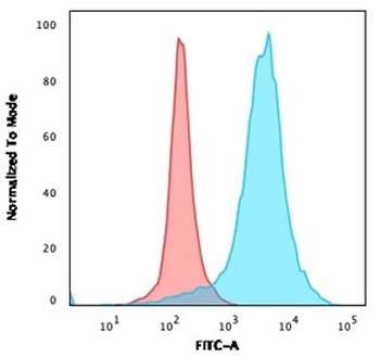 LAMP-3 Antibody / CD63
