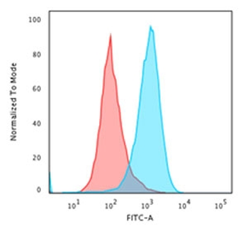 dsDNA Antibody