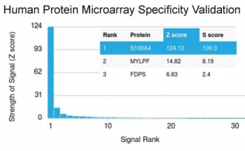 FSP1 Antibody / S100A4