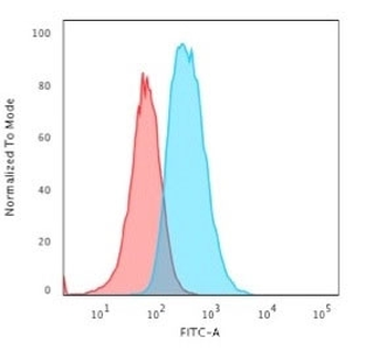 Glial Fibrillary Acidic Protein Antibody