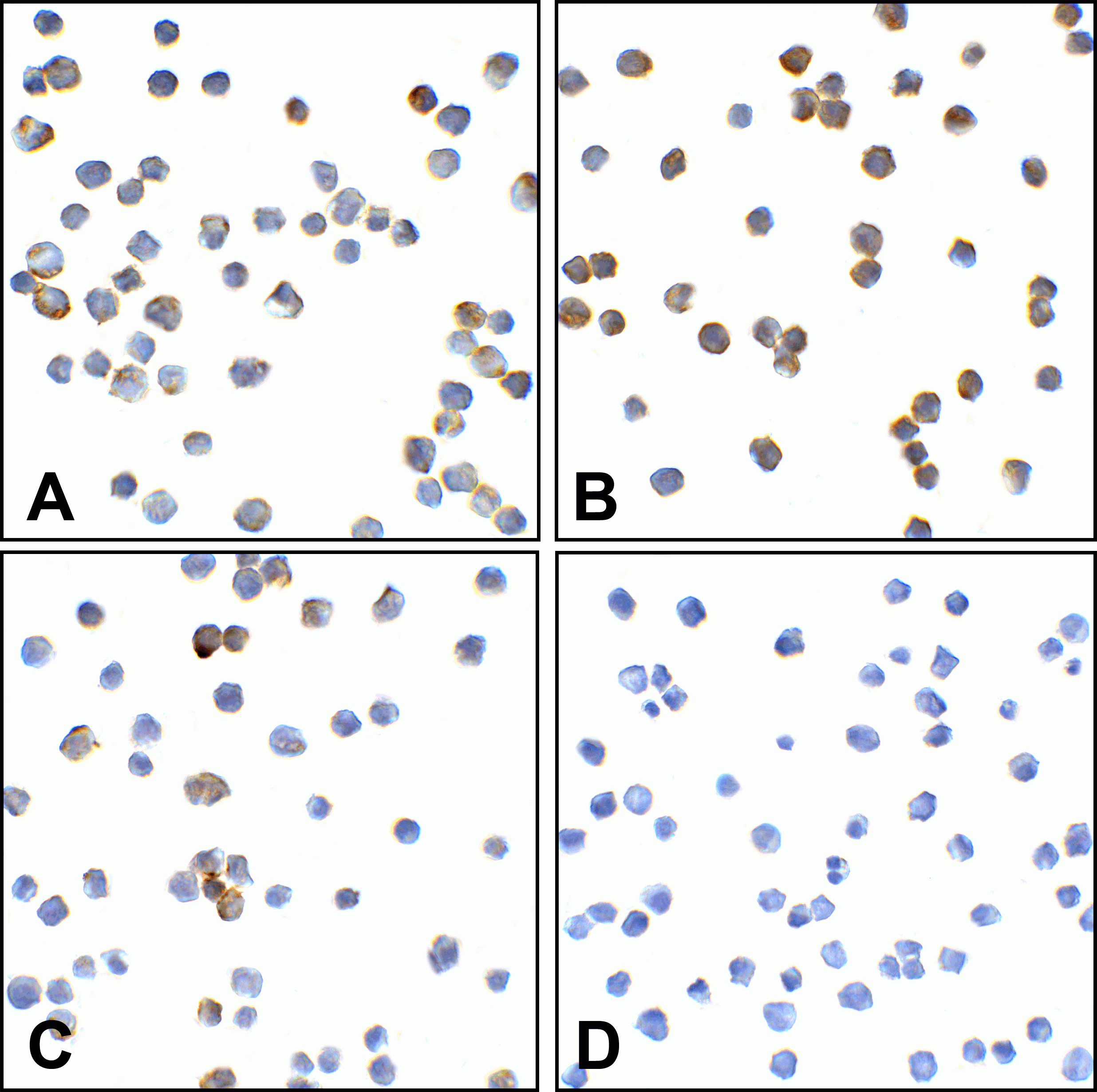 TMIGD2 Detection Set (Risk Free)