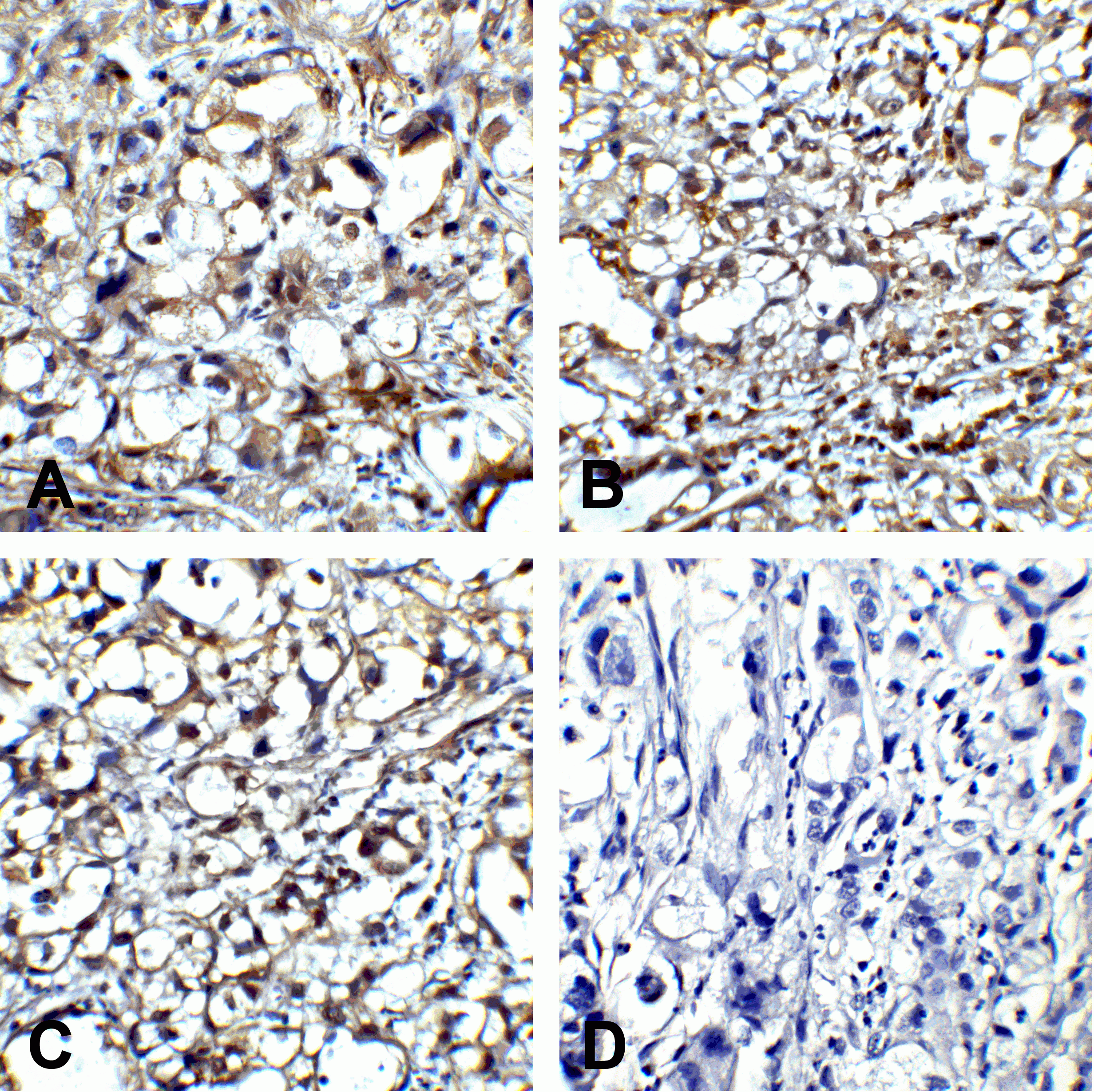CTLA4 Detection Set (Risk Free)