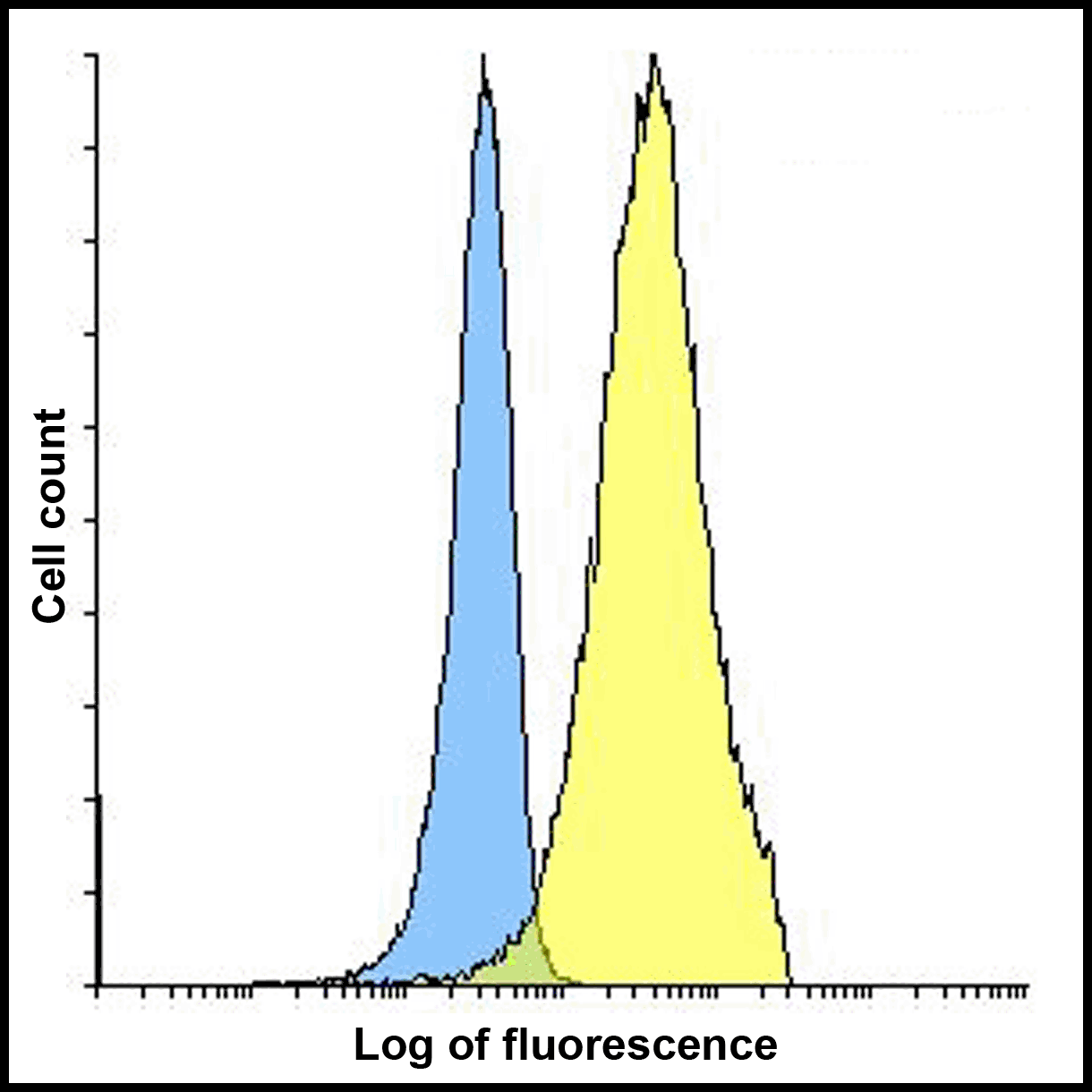PDCD1LG2 Antibody