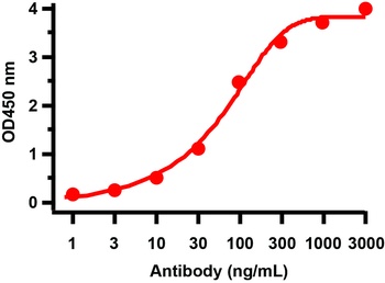 ORF8 Antibody