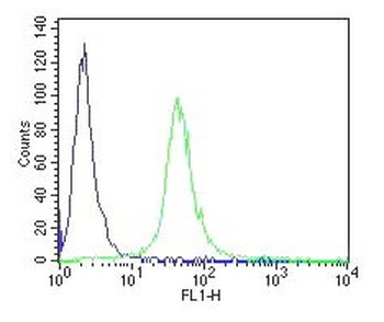 PCNA Antibody