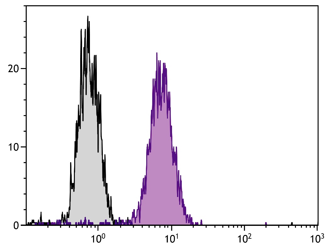 LAMP2 Antibody (FITC)