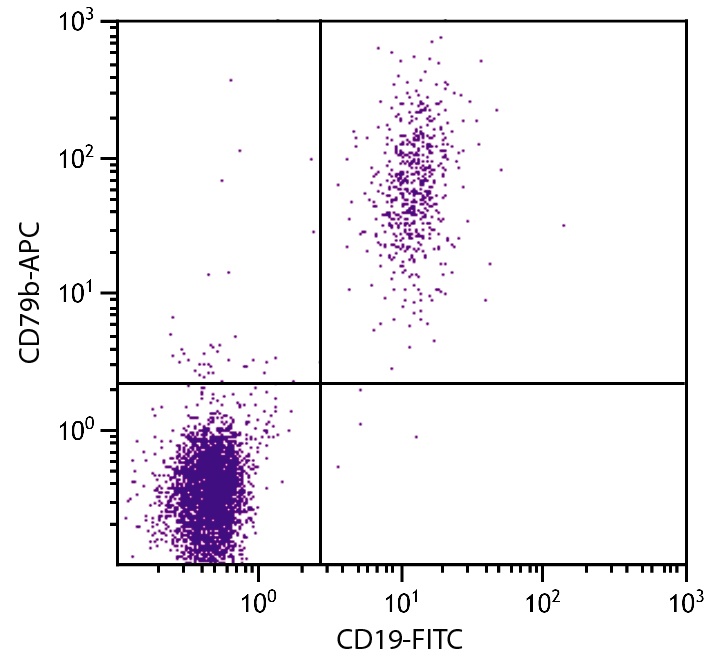CD79B Antibody (APC)