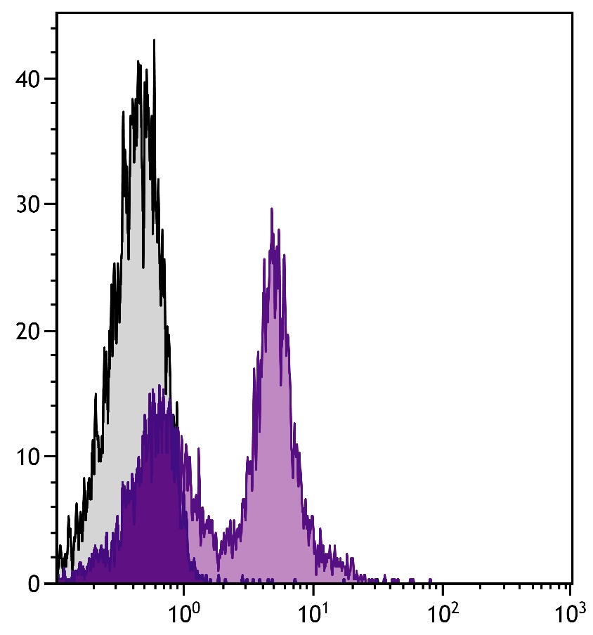 Cd38 Antibody (FITC)