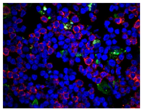 CD3E Antibody (PE/Cy5)