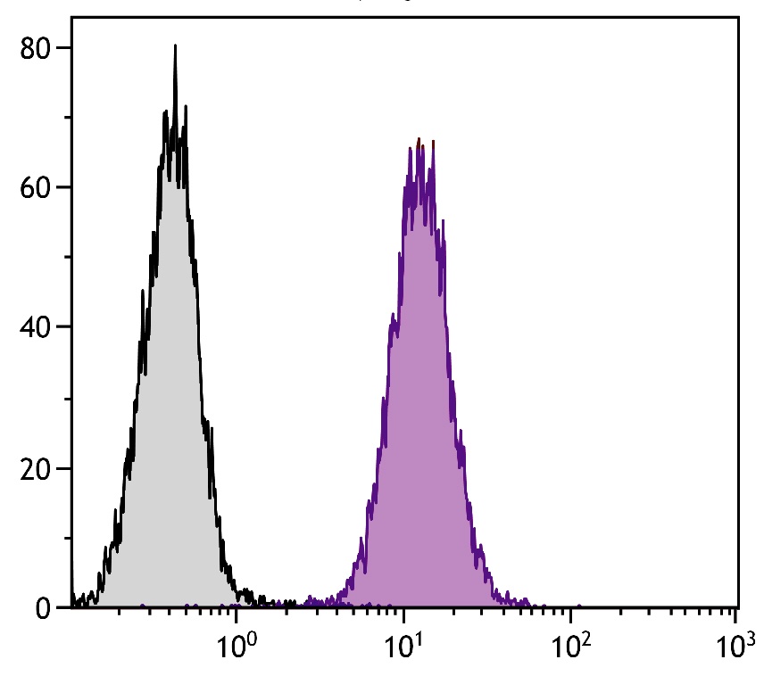 Lamp1 Antibody (APC)