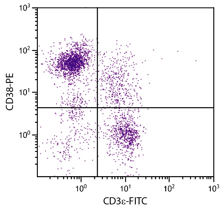 Cd38 Antibody (PE)