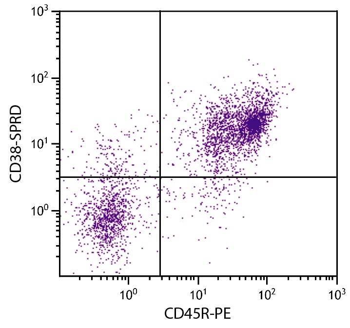 Cd38 Antibody (PE/Cy5)