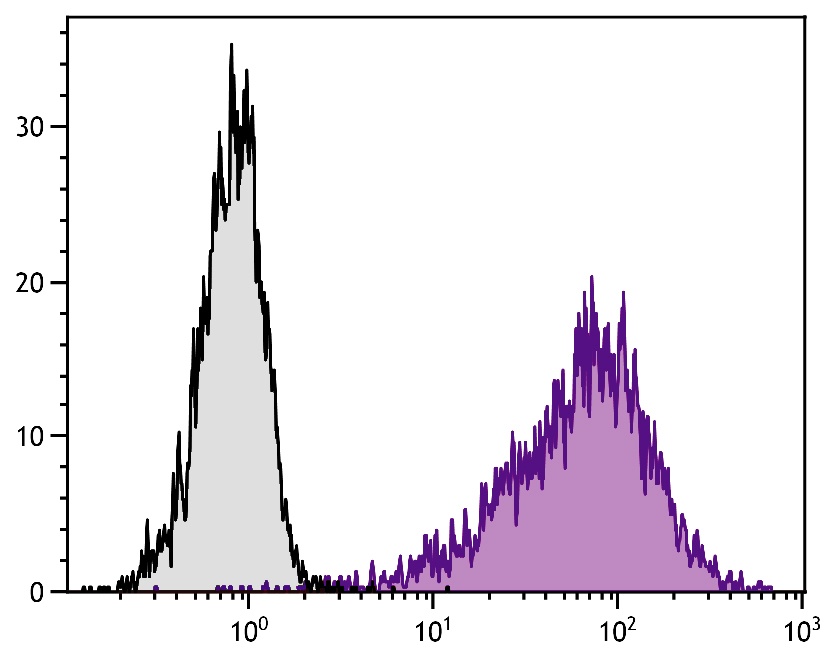 Il2ra Antibody (PE)