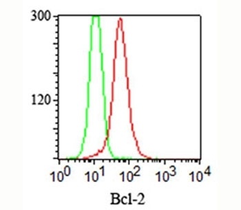 BCL2 Antibody