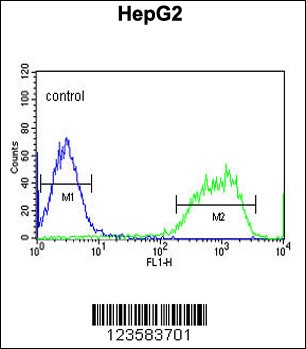 PXMP2 Antibody