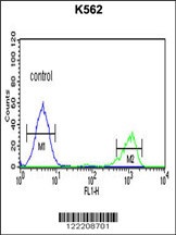 ADH7 Antibody