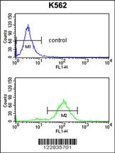 APOBEC3F Antibody