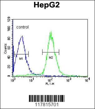 CCDC85B Antibody