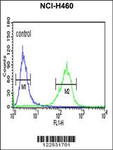SPG20 Antibody