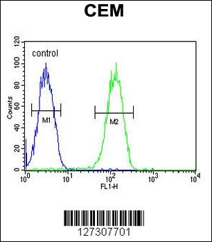 BIN2 Antibody