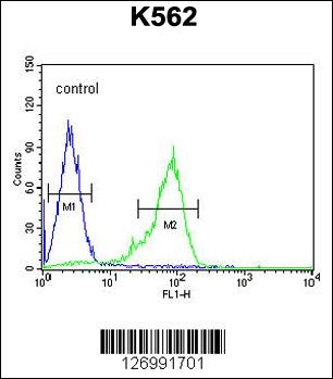 ZGLP1 Antibody