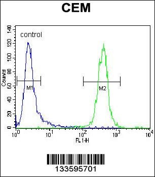 TNF Antibody
