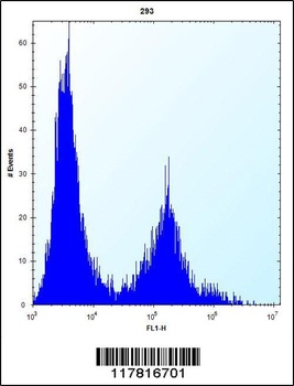 CLEC3B Antibody