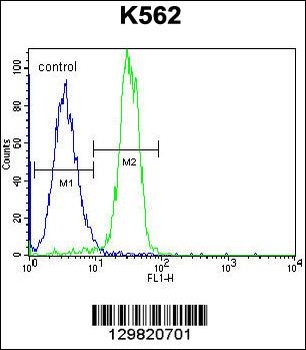 STARD6 Antibody