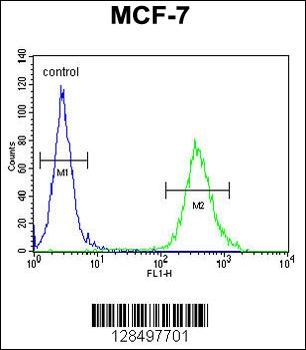 CYB561D1 Antibody
