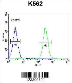 TNFAIP8 Antibody