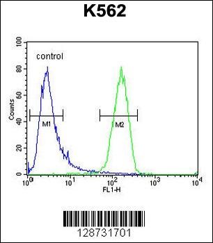 IQCJ Antibody