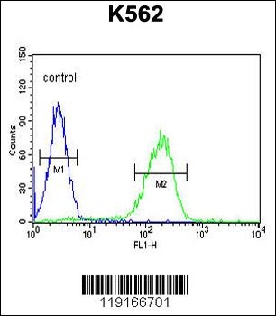 APOL6 Antibody