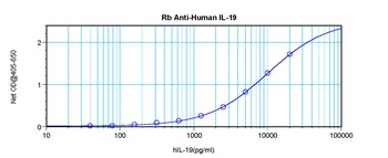 IL19 Antibody