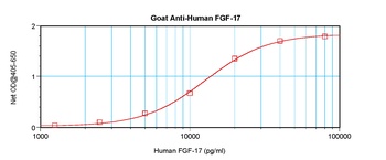 FGF17 Antibody