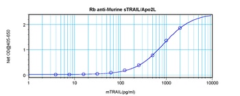Tnfsf10 Antibody