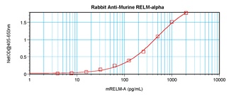 Retnla Antibody