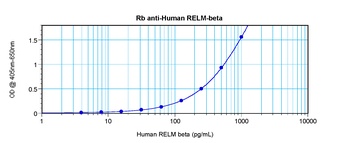 RETNLB Antibody