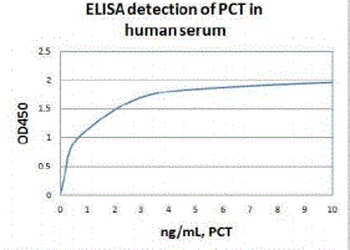 CALCA Antibody