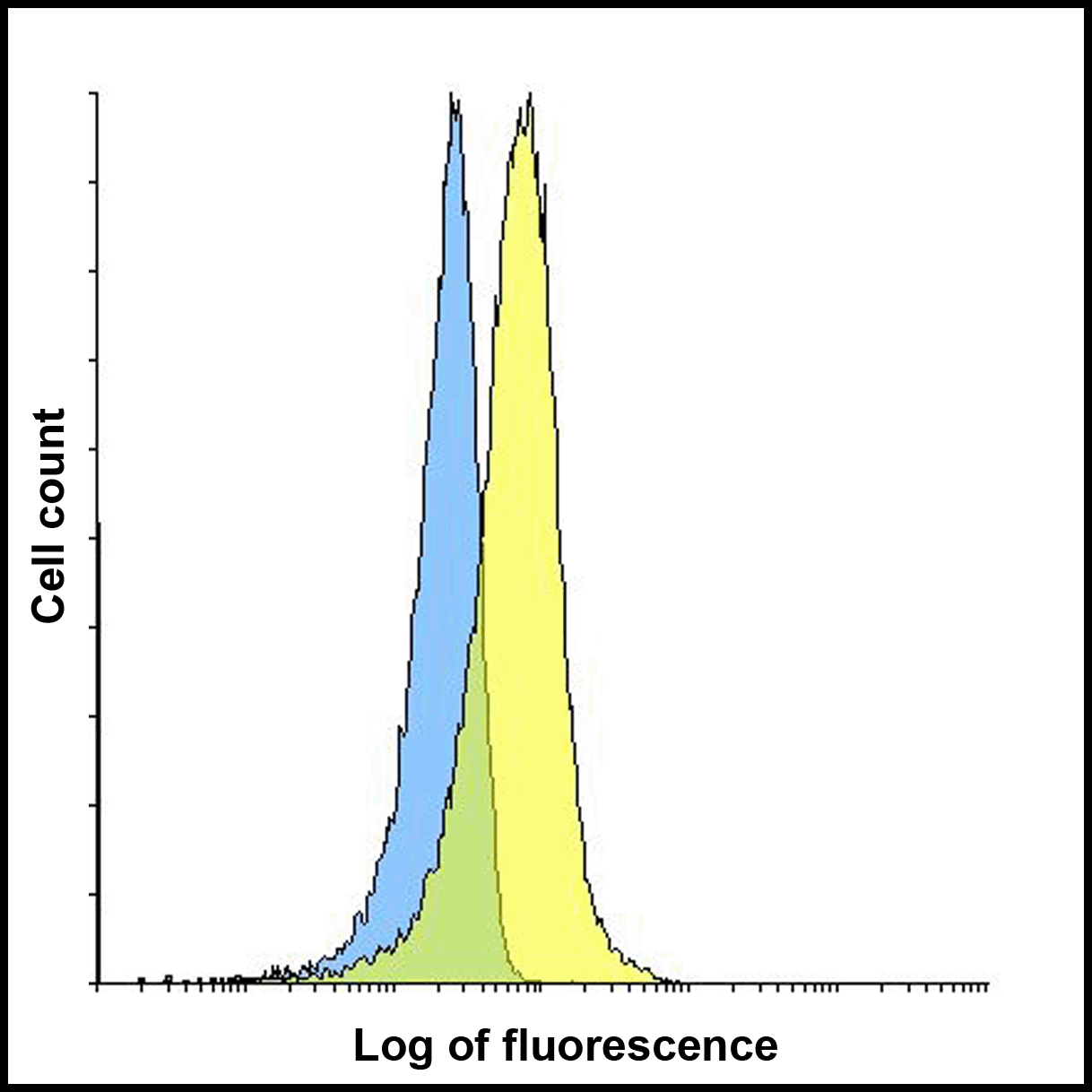LAG3 Antibody