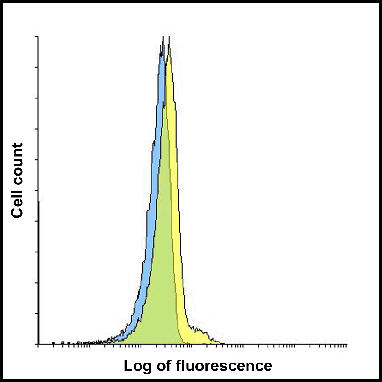 LAG3 Antibody