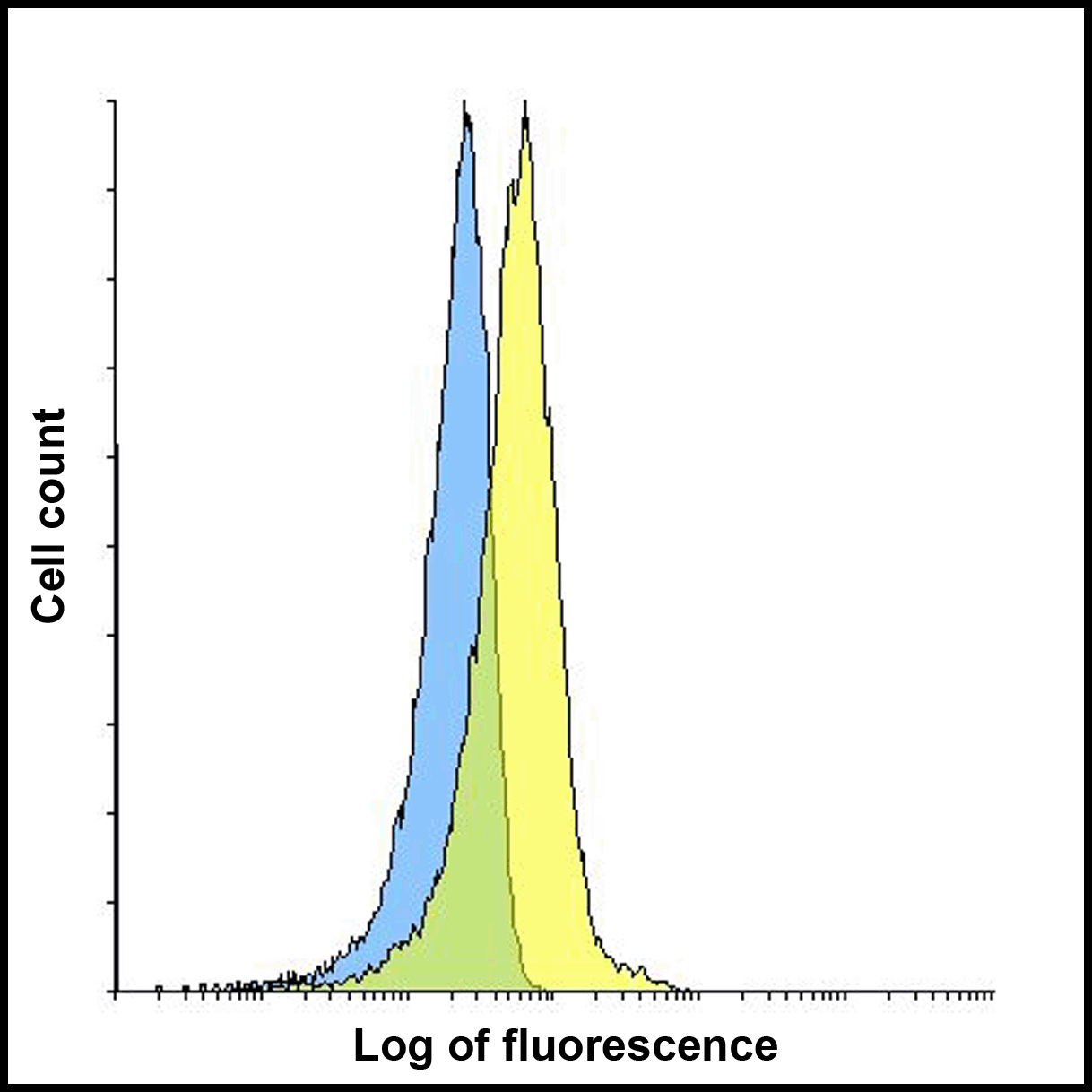 LAG3 Antibody