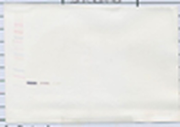 Il12a , Il12b Antibody