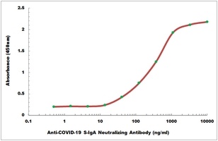 COVID-19 S-IgA Neutralizing Human Monoclonal Antibody