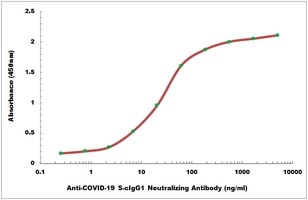COVID-19 S-cIgG1 Neutralizing Monkey Monoclonal Antibody